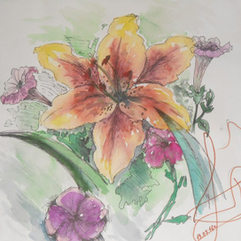 Тигровая лилия