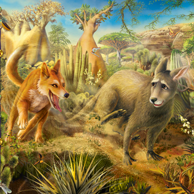 желание старого кенгуру. Киплинг.