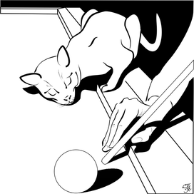 Кот и бильярд