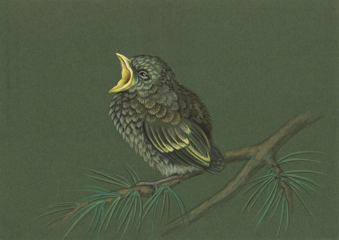 Кушать хочу...