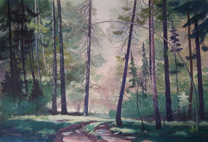 Лесная дорога