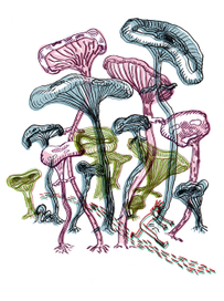 mushrooms