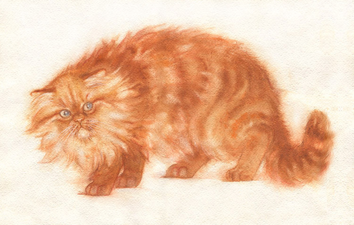 Рыжий лохматый испугался