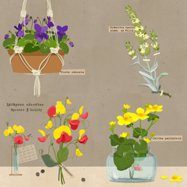 Растения полей, лесоа, водоемов и садов