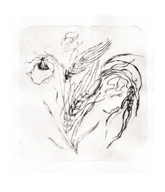 Иллюстрация к стихотворению М.Цветаевой "Жар-птица"