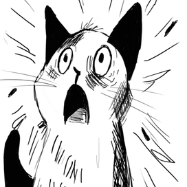 удивленный котик 