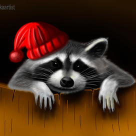 Енот в шапке