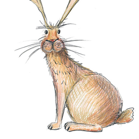 Кролик Федор