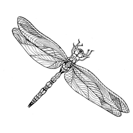 Стрекоза. Графика 