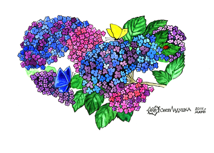 Сердце пять.