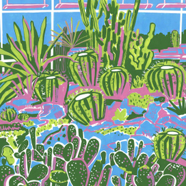 Субтропики. Кактусы.