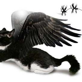 Скифиры-Скифары