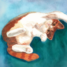 Кот Василий