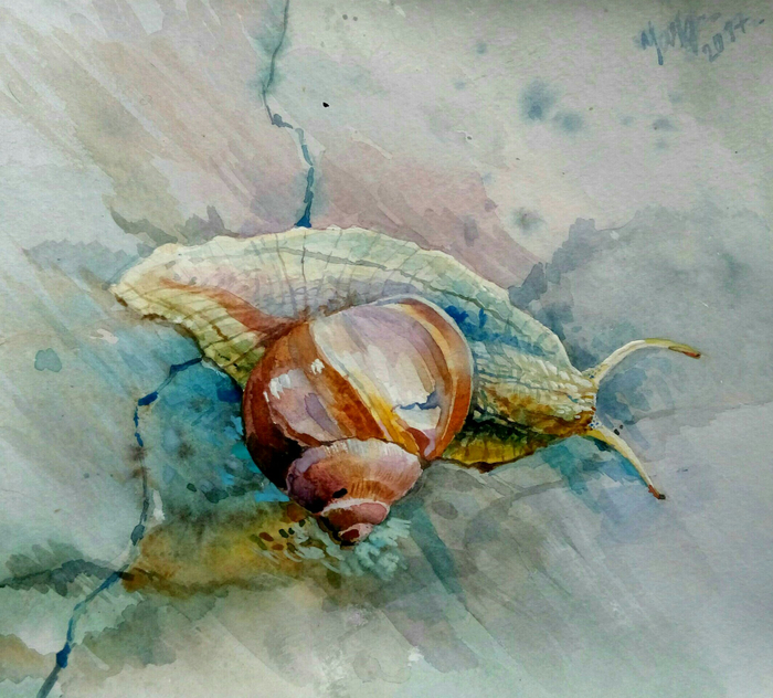 С приветом из лета