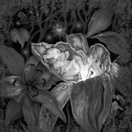 КОЛЫБЕЛЬНАЯ ДЛЯ СВЕТЛЯЧКОВ