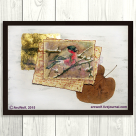 Снегирь. Записки натуралиста.