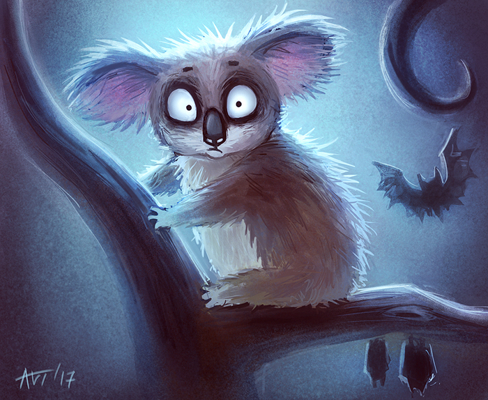 Коала в ночи