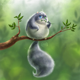 Горная белка