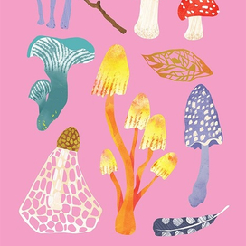 грибы, книга о природе, детская книга, нон-фикшен