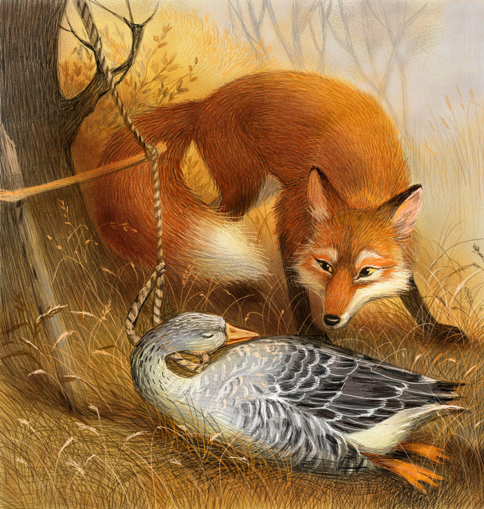 Кубанские сказки