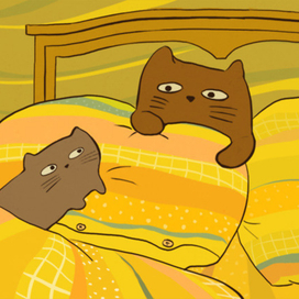 коты на подушках