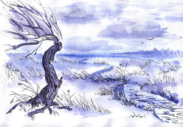 Одинокое дерево А4