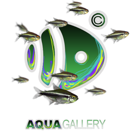 aqua gallery