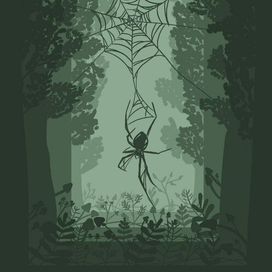 Обложка (паук)