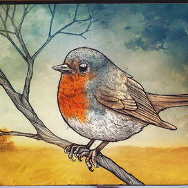 Птичка-Зарянка