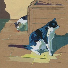 Зеленоградск