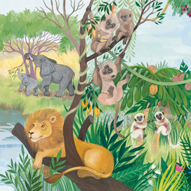 Кто где живёт. Издательство Робинс