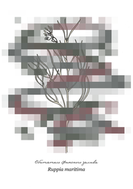 Плакат о загрязнении Финского залива