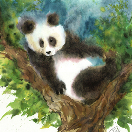 Вот Панда. Немного глупая...