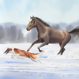 Наперегонки 