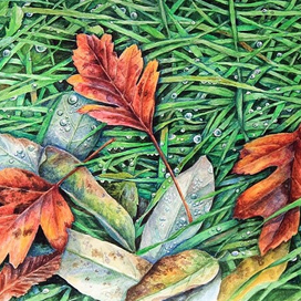 Осеннее утро