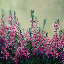 Поле цветов