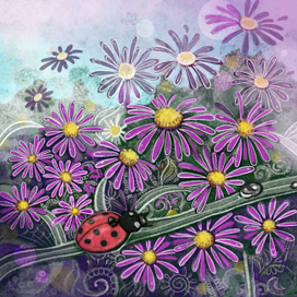 Божья коровка