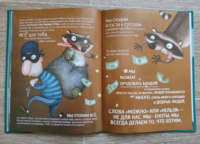 Чем хороши еноты