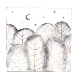 Сказочный лес