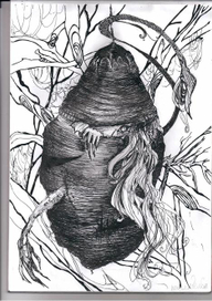 Подгляделка