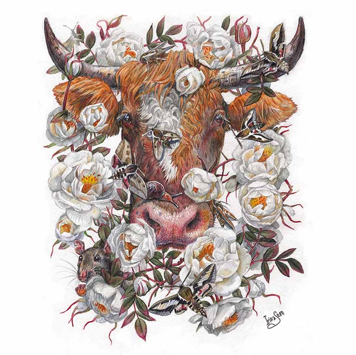 Год Быка близится!!)