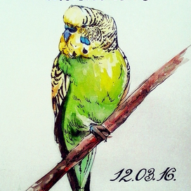 Попугайчик