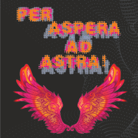 Через тернии к звездам