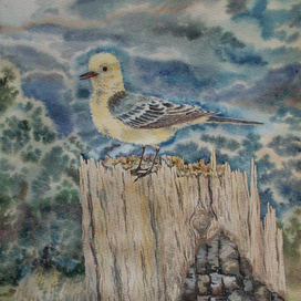 Предчувствие грозы