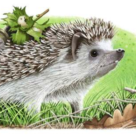 Для сказки И. Гуриной