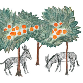 Иллюстрация к сказке Анны Никольской "Человек-Мандарин"