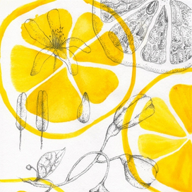 Иллюстрация для обложки скетчбуков. 