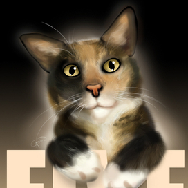 Cat Five