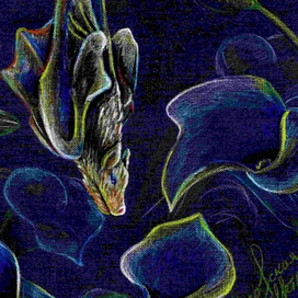 Летучая мышь и цветы