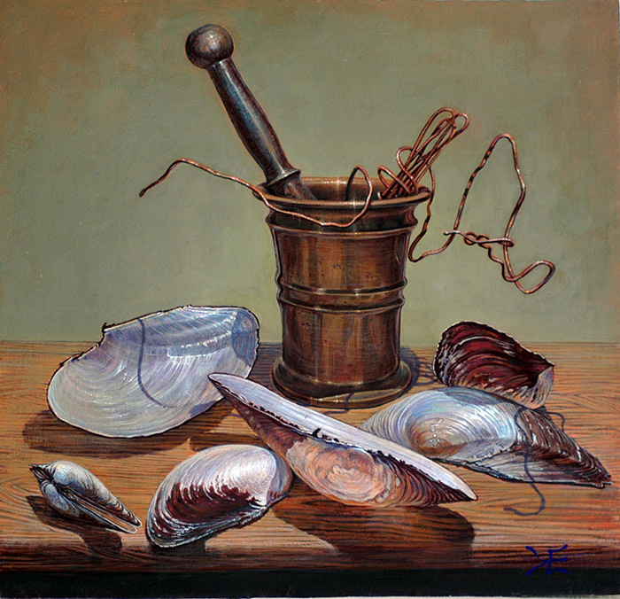 Мидии Беззубки